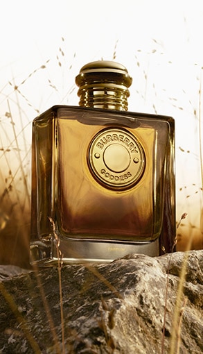 GRID 3-medium 1_BURBERRY_Lxh_293x510px.jpg